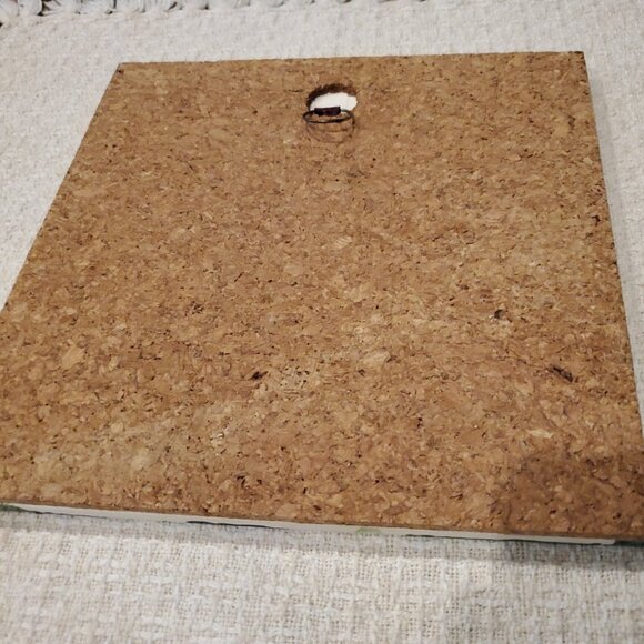 L@@K Tile Picture Red PARROT Hand Painted Glossy 3D effect 8 x 8 ~ CUTE! - Picture 5 of 6